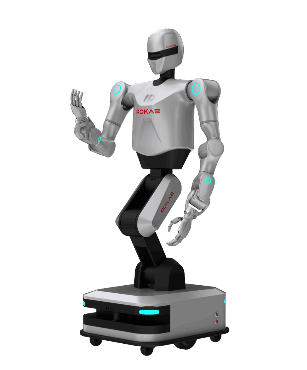 ROKAEヒューマノイドロボット